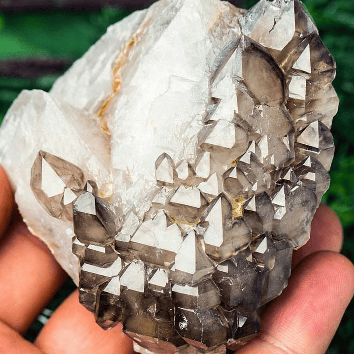 Taller Cuarzos Maestros  6