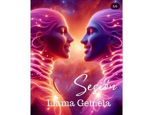 Sesión Llama Gemela 