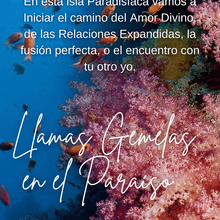 Retiro- Llamas Gemelas. Isla de Providencia, Colombia. 3