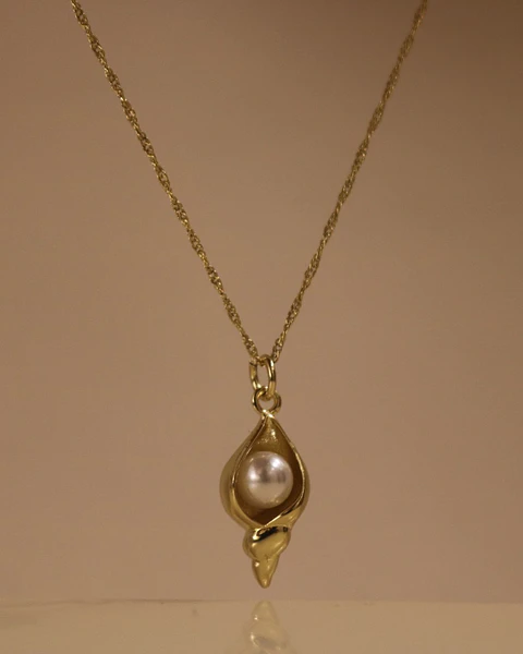 Shell Necklace