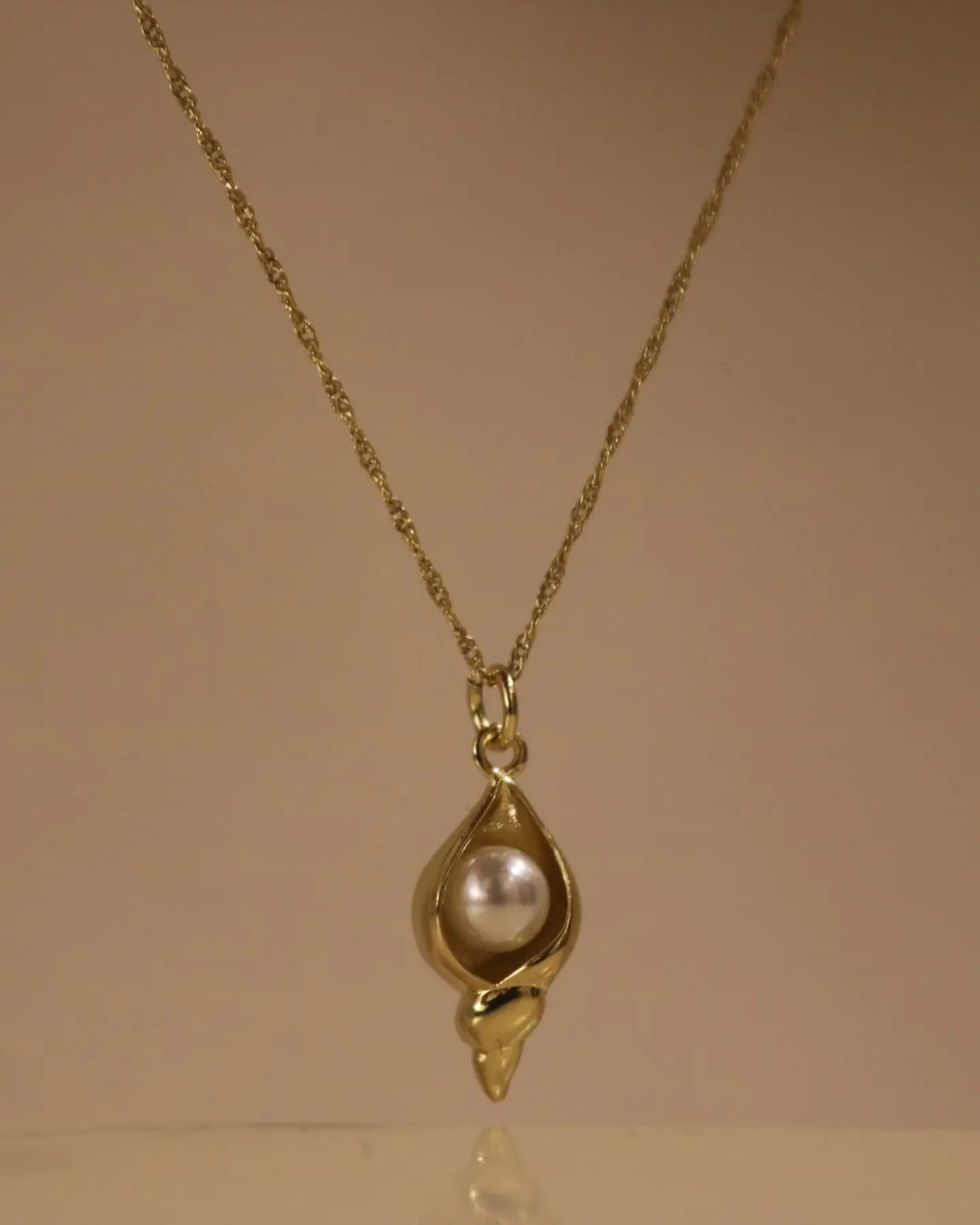 Shell Necklace 1