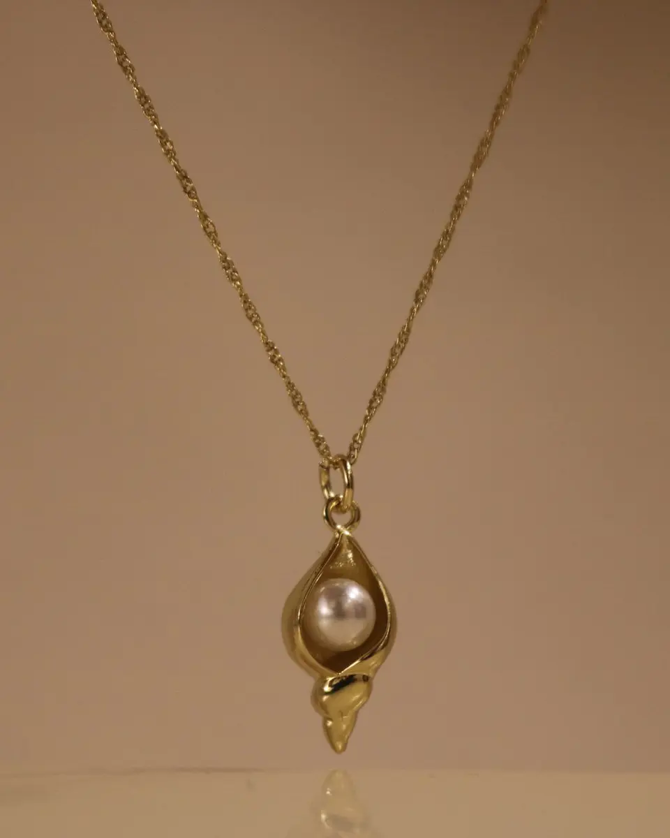 Shell Necklace 1