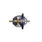 Termostato Chevrolet NPR - NQR - FRR - Miniatura 1