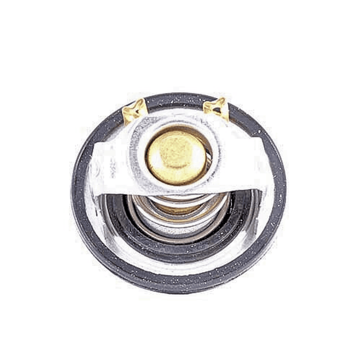 Termostato Chevrolet NPR - NQR - FRR 3