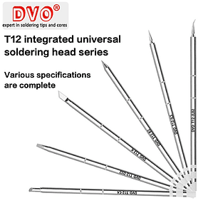 Punta de Cautin T12 DVO