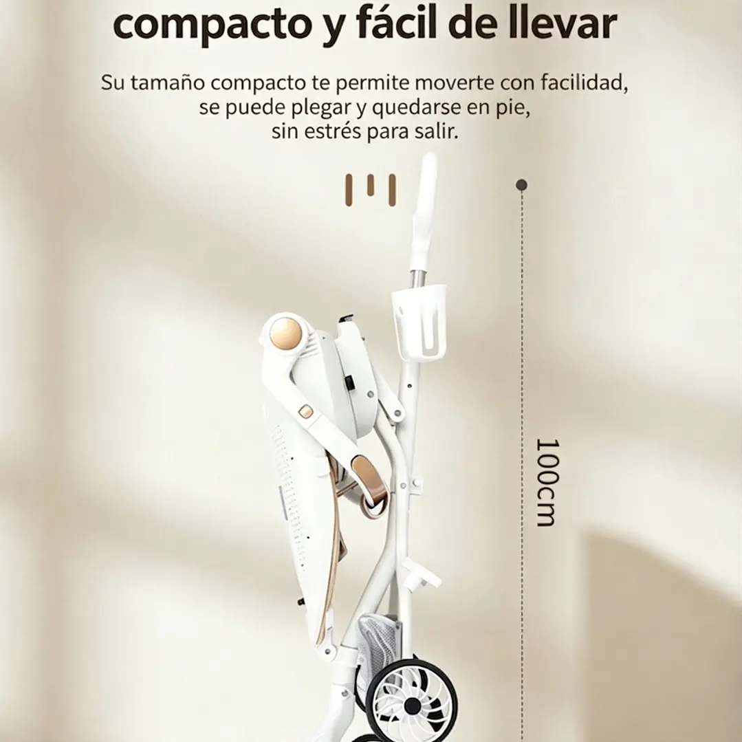 Paseador de Bebé  3