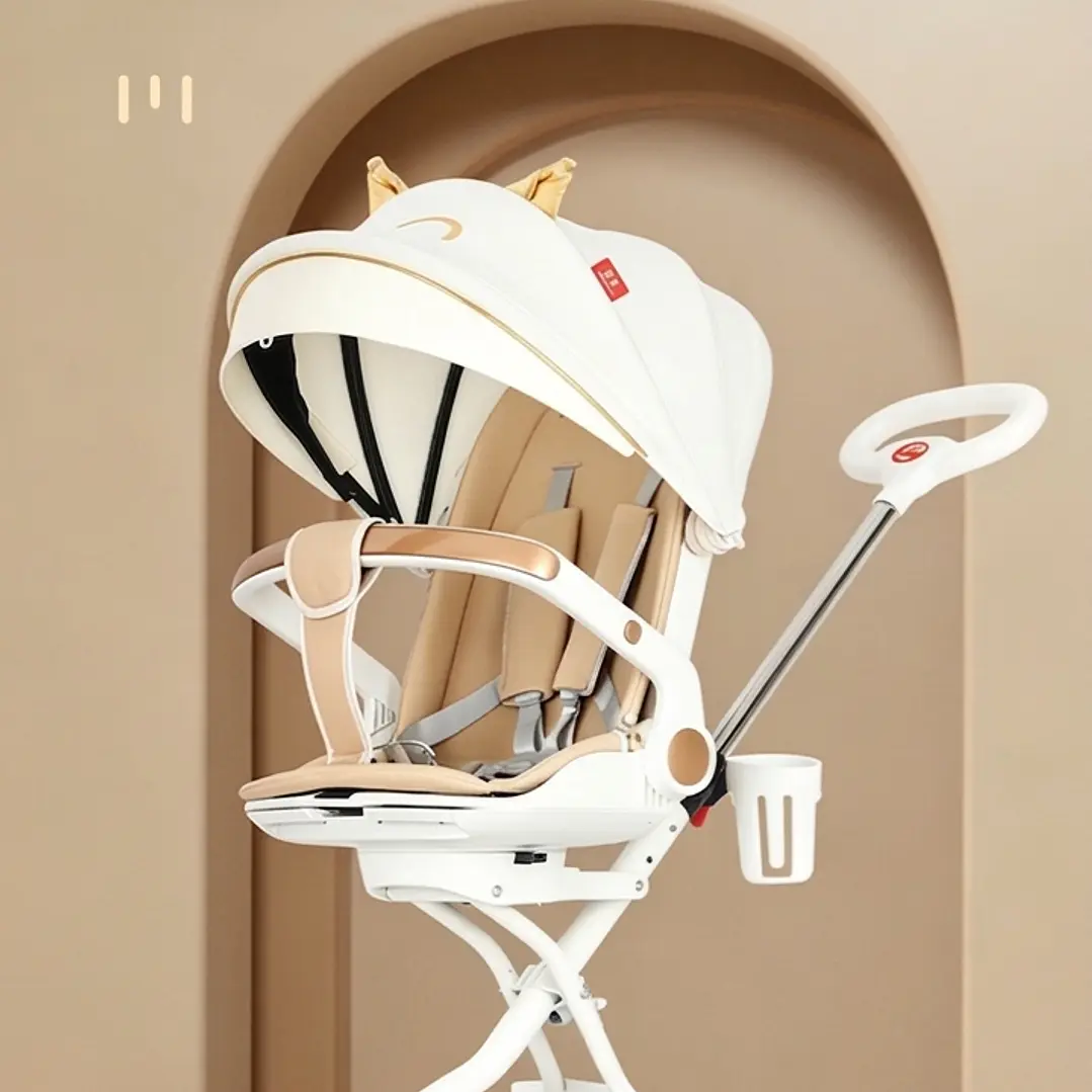 Paseador de Bebé  6