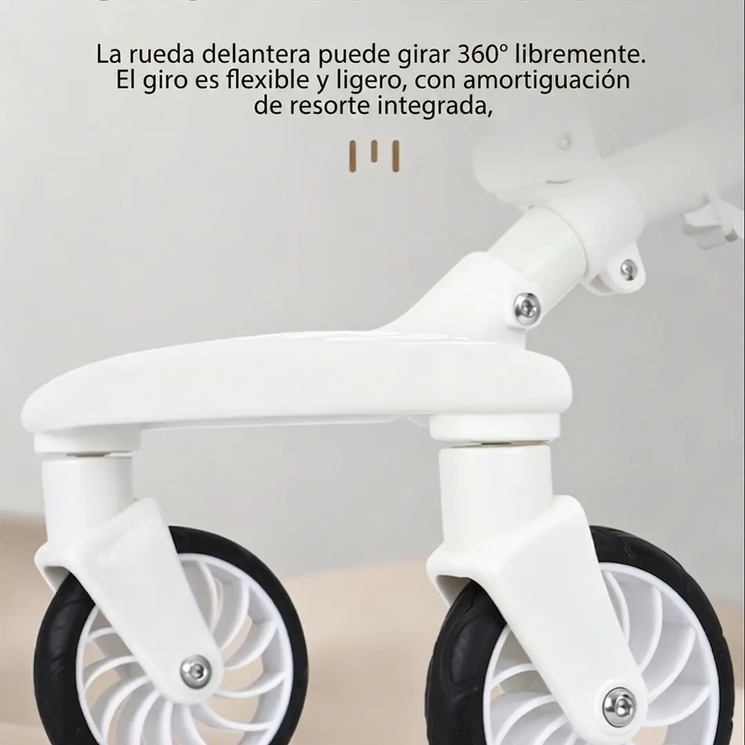 Paseador de Bebé  9