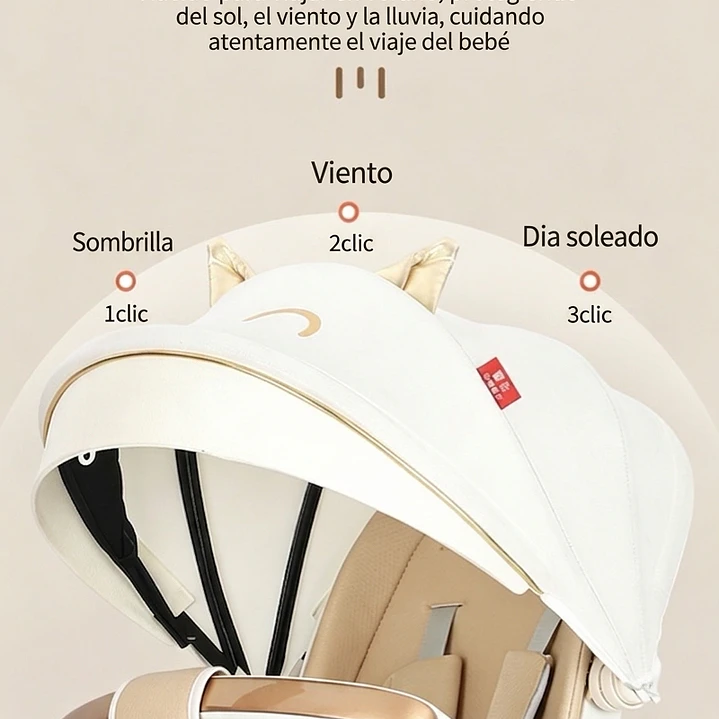 Paseador de Bebé  12