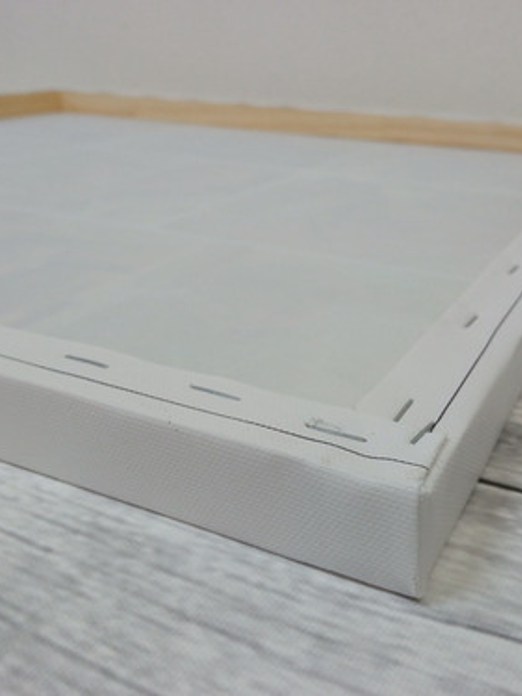 Cuadro Decorativo Canvas 55x55 Con Bastidor De 2x2cm 3