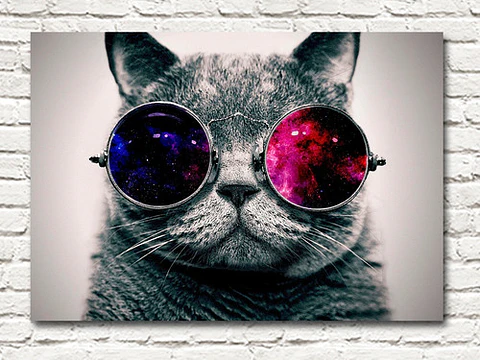 Cuadro Decorativo Gato Con Gafas