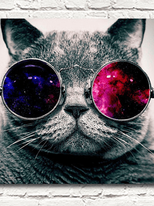 Cuadro Decorativo Gato Con Gafas