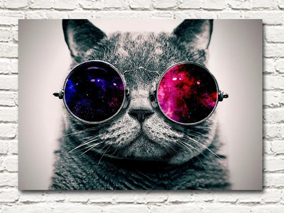 Cuadro Decorativo Gato Con Gafas 1