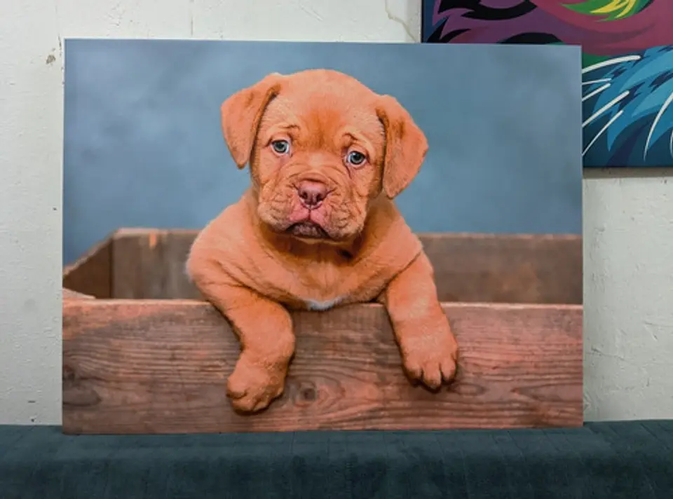 Cuadro Canvas Personalizado 80x60 4