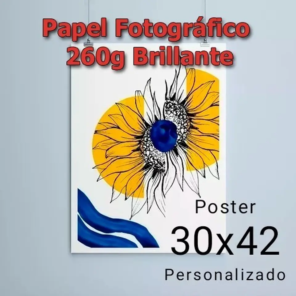 Posters Y Fotos 30cm X 42cm Personalizados 1