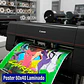 Impresión De Posters Y Fotos 60cm X 40 Cm Laminado - Miniatura 1
