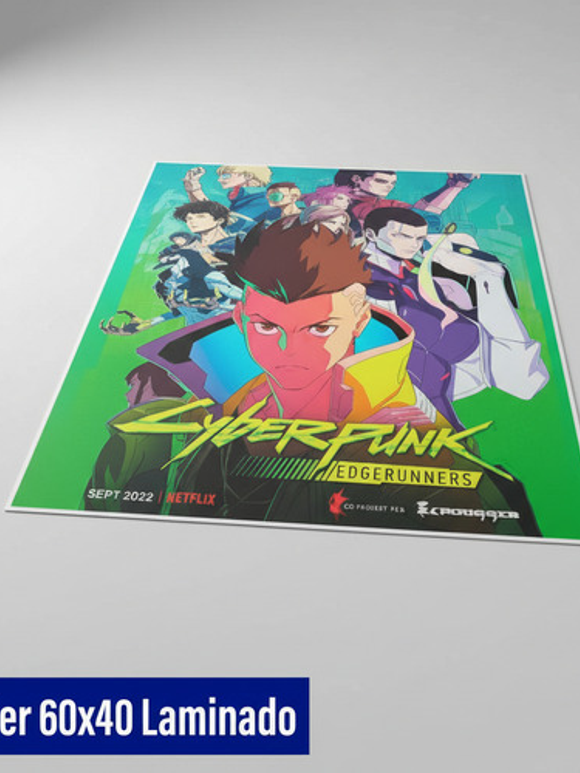 Impresión De Posters Y Fotos 60cm X 40 Cm Laminado 4