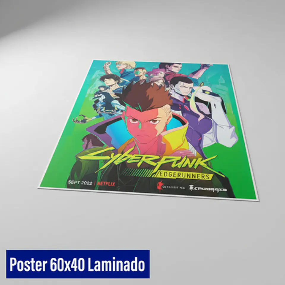 Impresión De Posters Y Fotos 60cm X 40 Cm Laminado 4