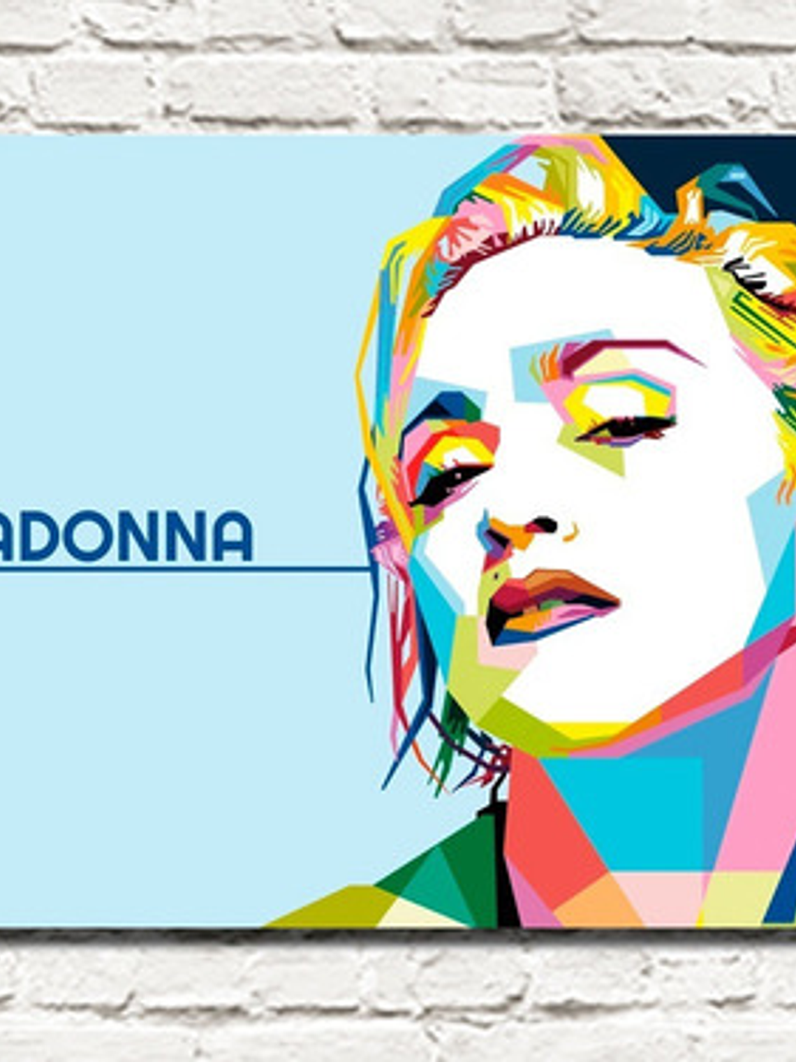 Cuadro Decorativo Canvas Madonna Art 1