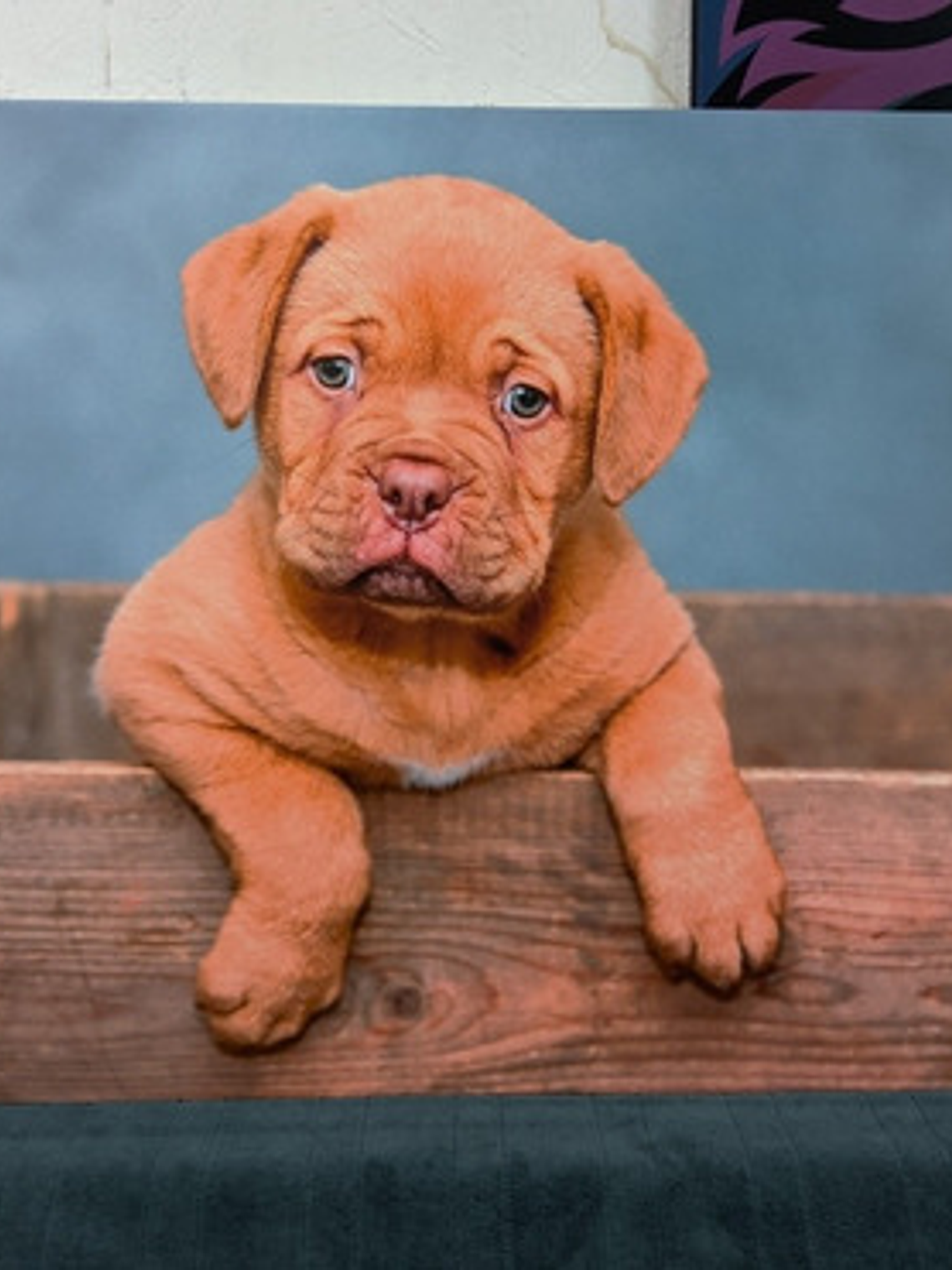 Cuadro Canvas Personalizado 60x80 Bisel 3cm 3