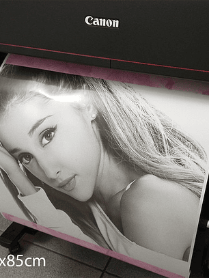 Impresion De Posters Y Fotos 60cm X 85cm