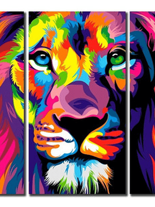 Cuadros Decorativos Canvas 3 Cuerpos 165x80 Cm