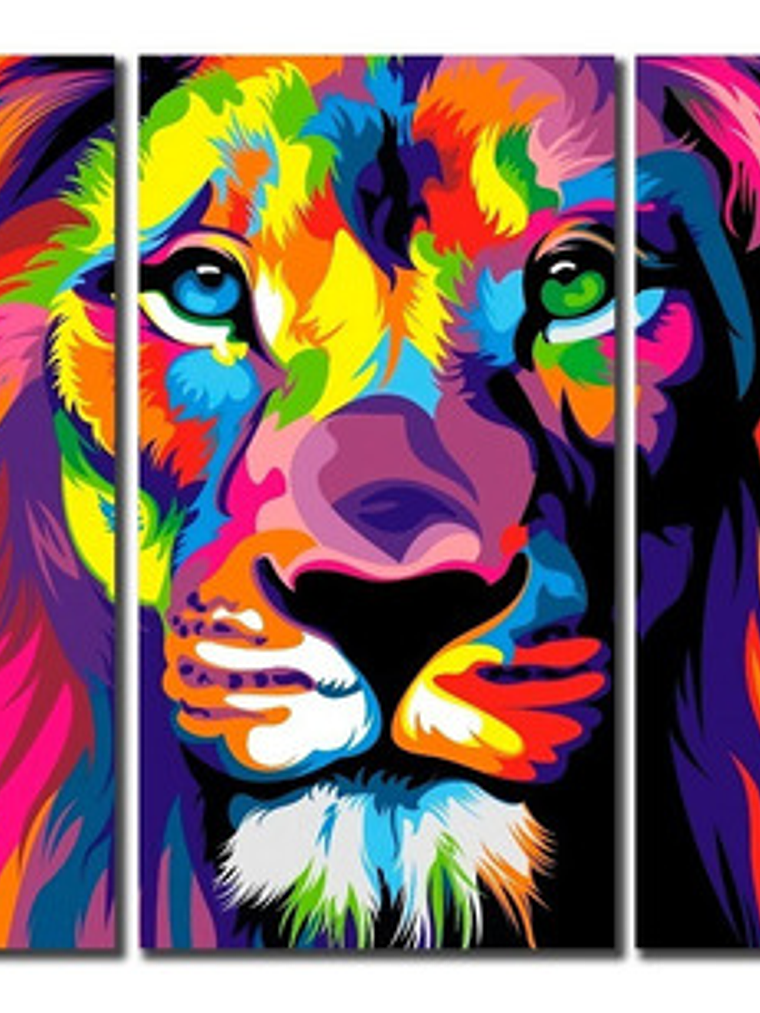 Cuadros Decorativos Canvas 3 Cuerpos 165x80 Cm 1