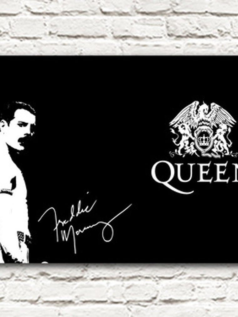 Cuadro Decorativo Canvas 35x50 Freddie Mercury Byn 1