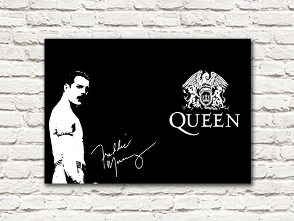 Cuadro Decorativo Canvas 35x50 Freddie Mercury Byn 1