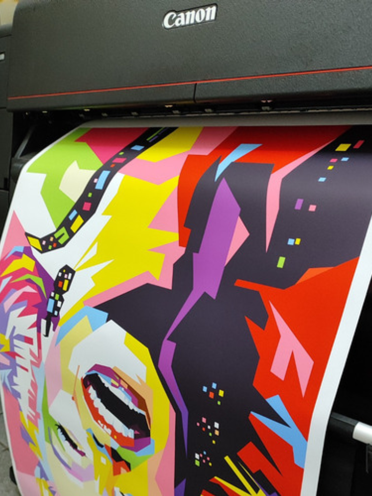 Impresión Full Color En Telas Canvas 60x45 2
