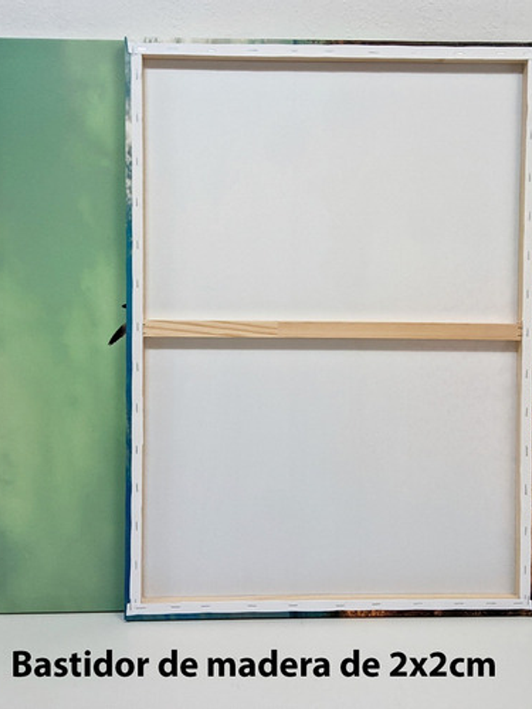 Cuadro Canvas El Beso 50x70cm 3