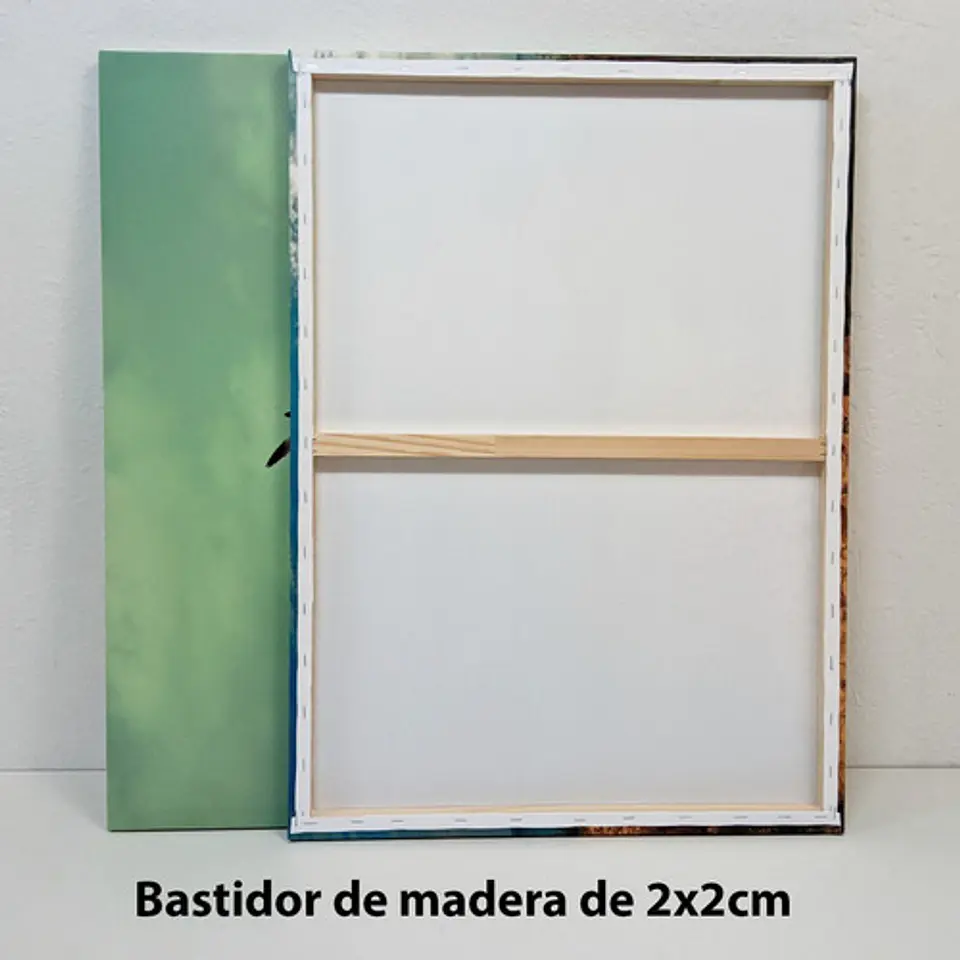 Cuadro Canvas El Beso 50x70cm 3