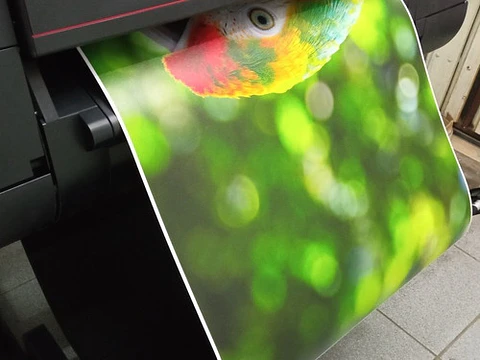 Impresión De Fotos Y Posters 60cm X 45cm - Papel Luster 260g