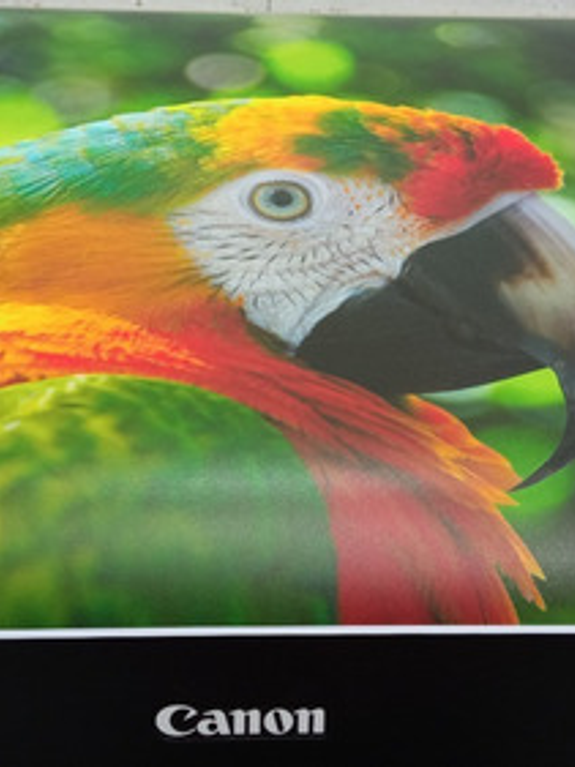 Impresión De Fotos Y Posters 60cm X 45cm - Papel Luster 260g 2