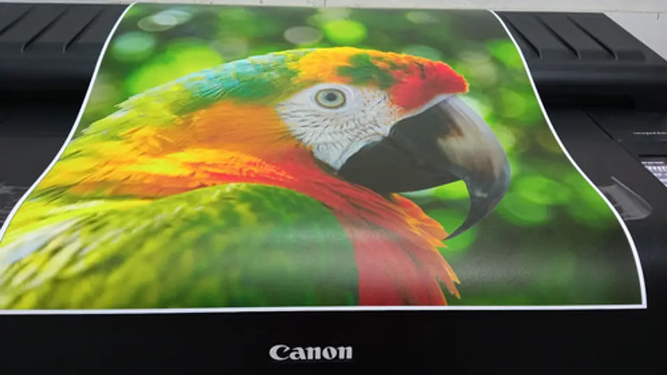 Impresión De Fotos Y Posters 60cm X 45cm - Papel Luster 260g 2