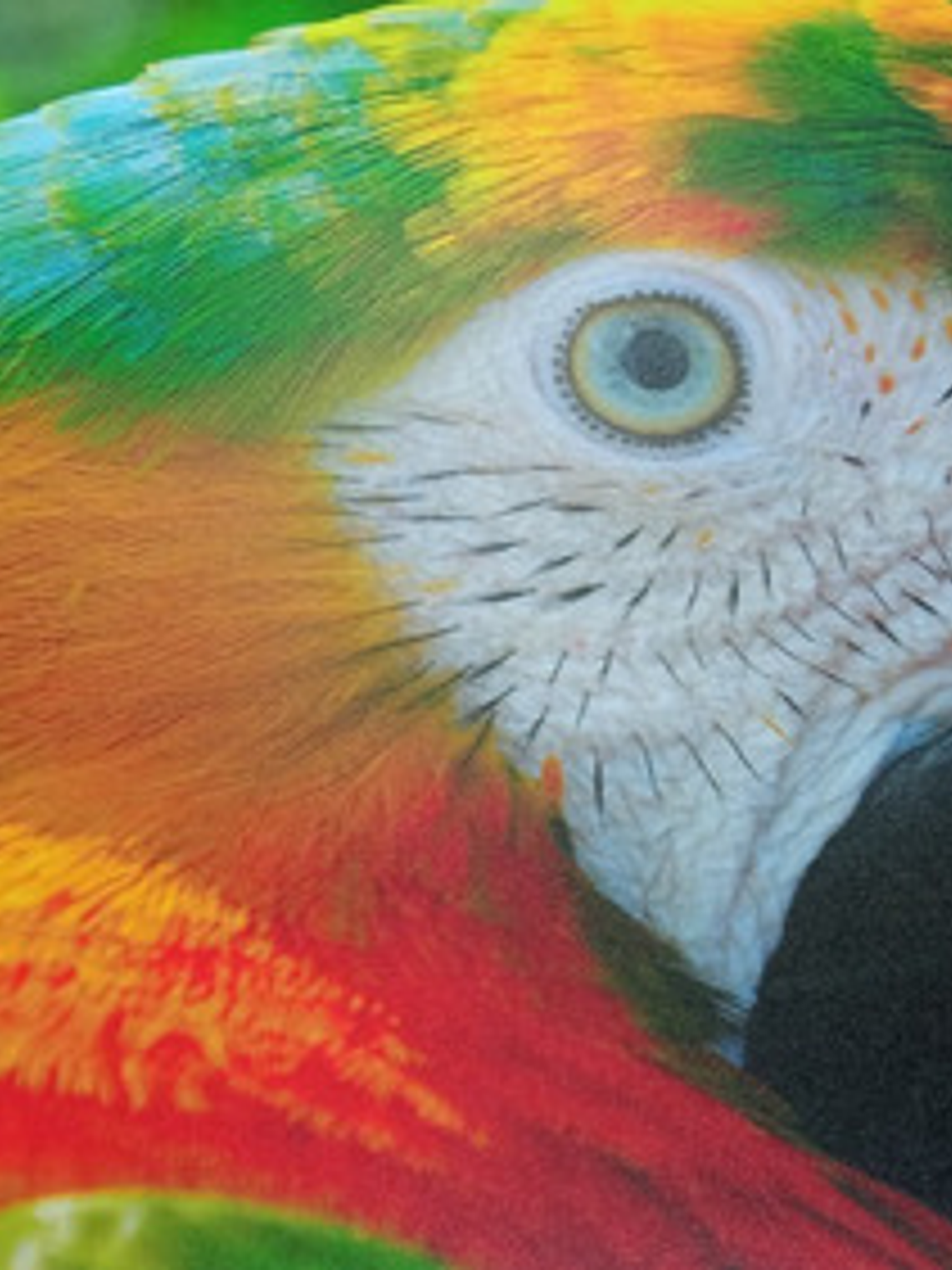 Impresión De Fotos Y Posters 60cm X 45cm - Papel Luster 260g 3