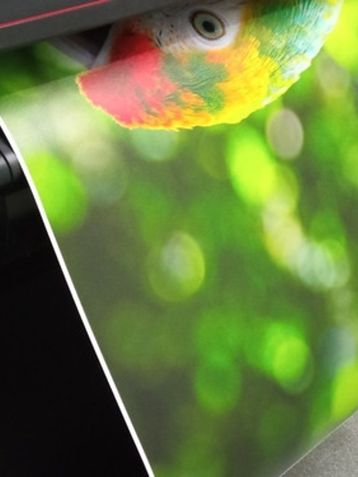 Impresión De Fotos Y Posters 60cm X 90cm - Papel Luster 260g 2