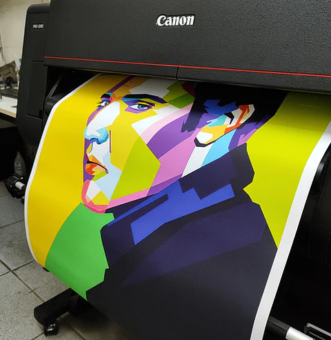 Impresión Full Color En Telas Canvas 60x85