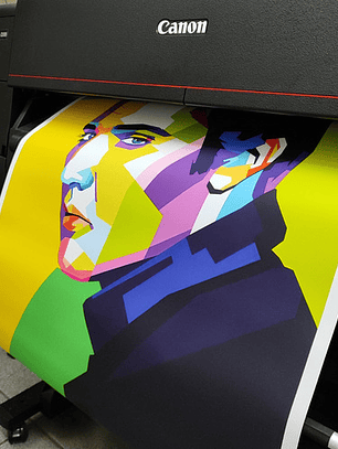 Impresión Full Color En Telas Canvas 60x85