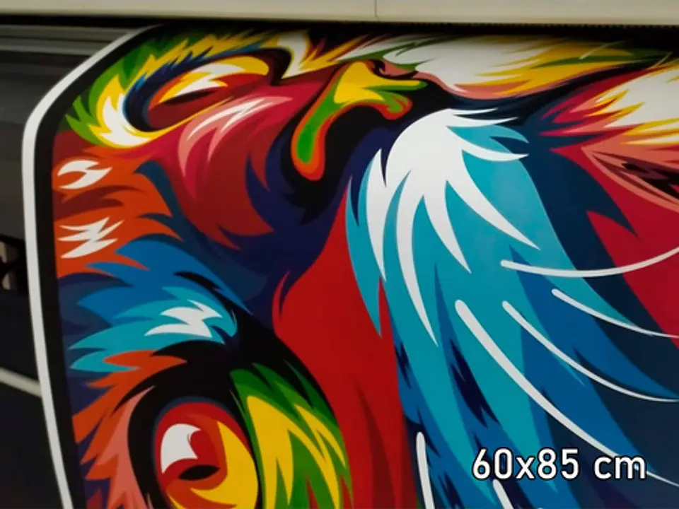 Impresión Full Color En Telas Canvas 60x85 2