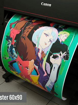 Impresion De Posters Y Fotos 60cm X 90cm - Papel Foto Glossy