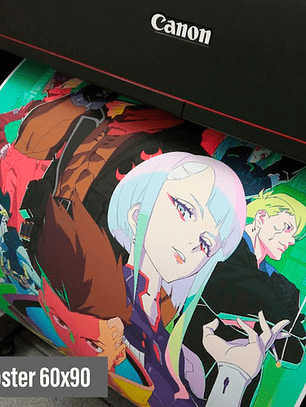 Impresion De Posters Y Fotos 60cm X 90cm - Papel Foto Glossy