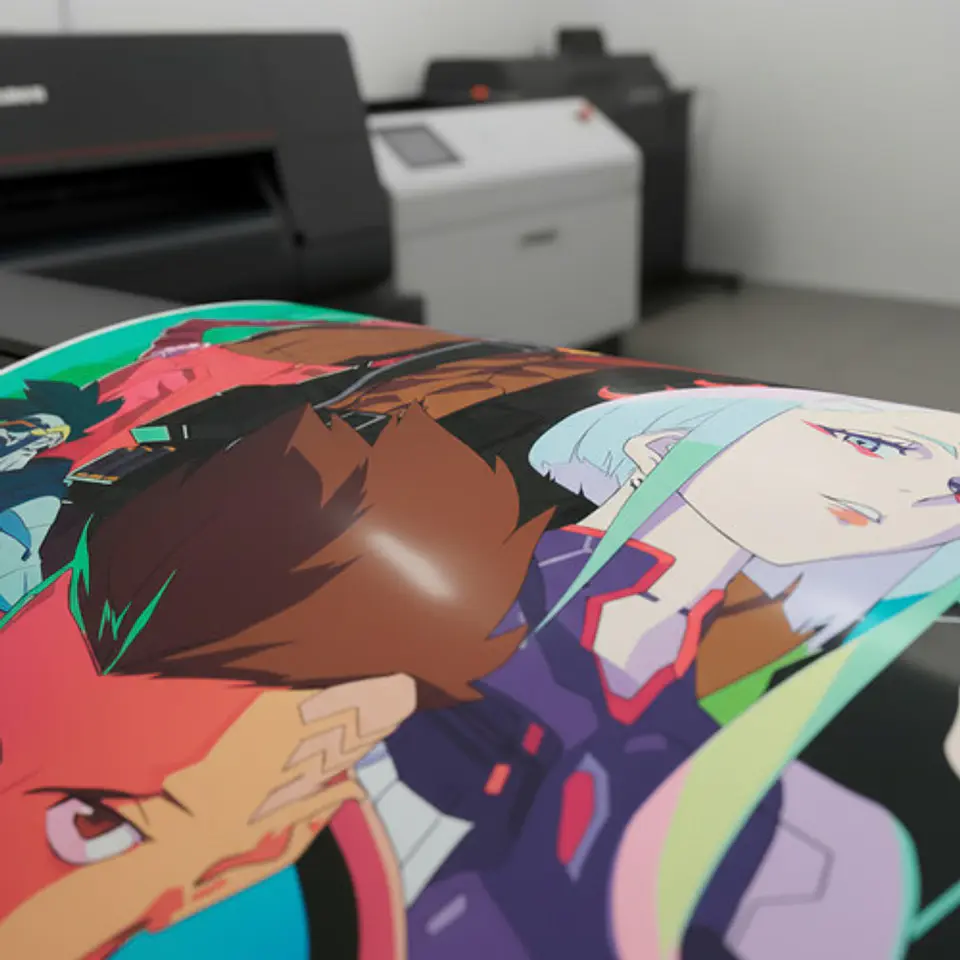 Impresion De Posters Y Fotos 60cm X 90cm - Papel Foto Glossy 3