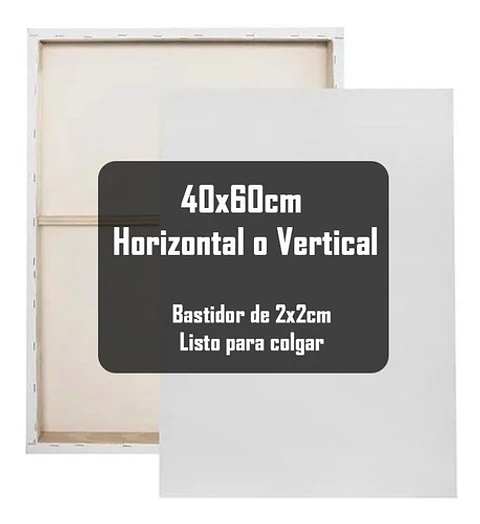 Cuadro Decorativo Canvas 40x60 Personalizados