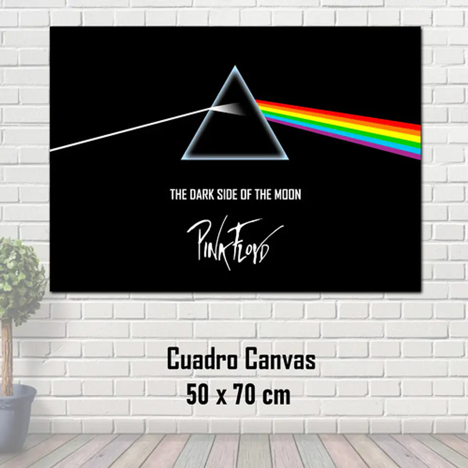 Cuadro Canvas  Pink Floyd 50x70cm The Dark Side Of The Moon 2