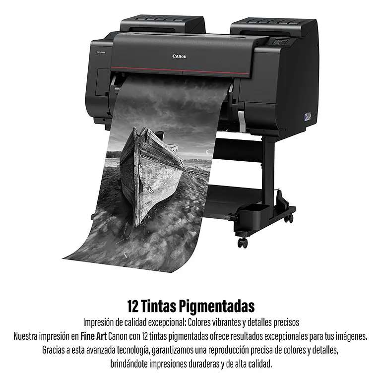Impresion Digital