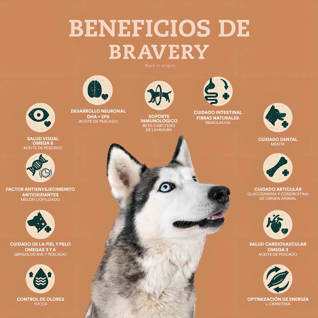 Alimento Bravery Salmón Perro Adulto Raza Mediana y Grande 12 Kg 2