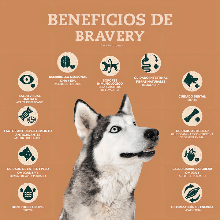 Alimento Bravery Salmón Perro Adulto Raza Mediana y Grande 12 Kg 2