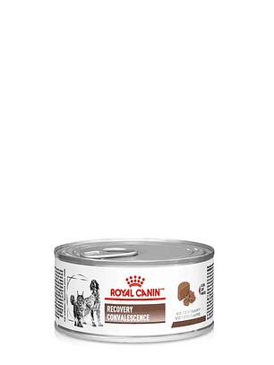 Royal Canin Recovery 145g