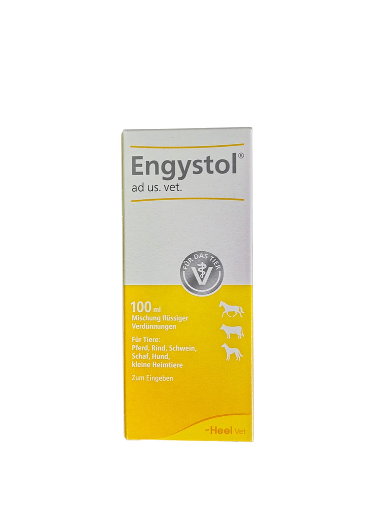 Engystol Gotas 100ml 1
